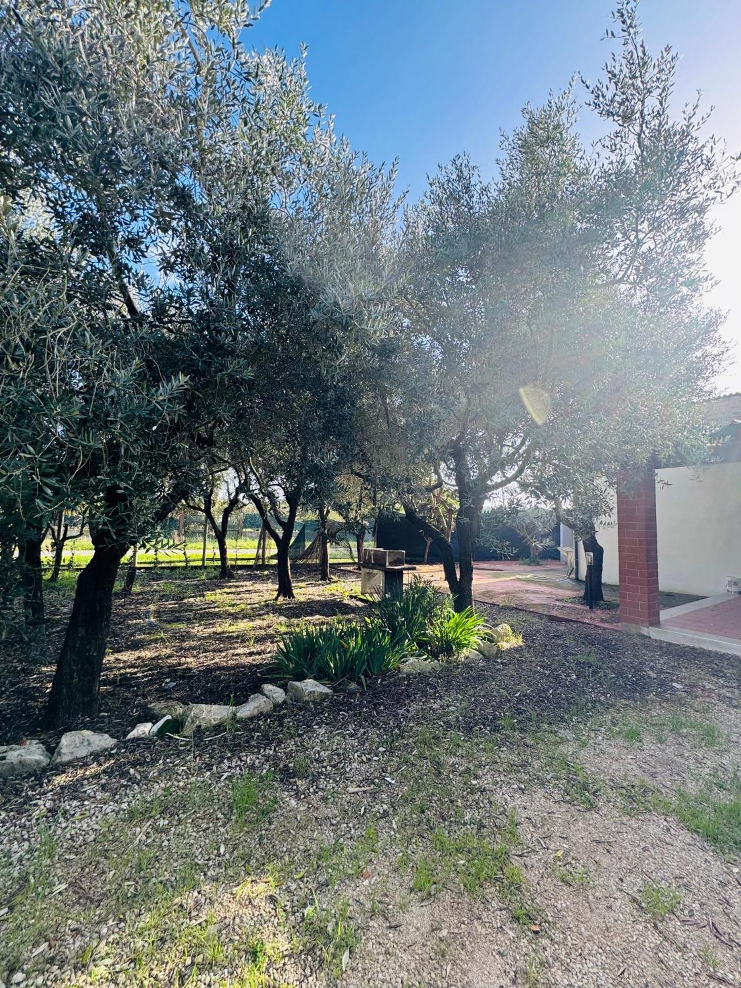 La Perla Di Dea Villa Lido Di Fondi Eksteriør billede