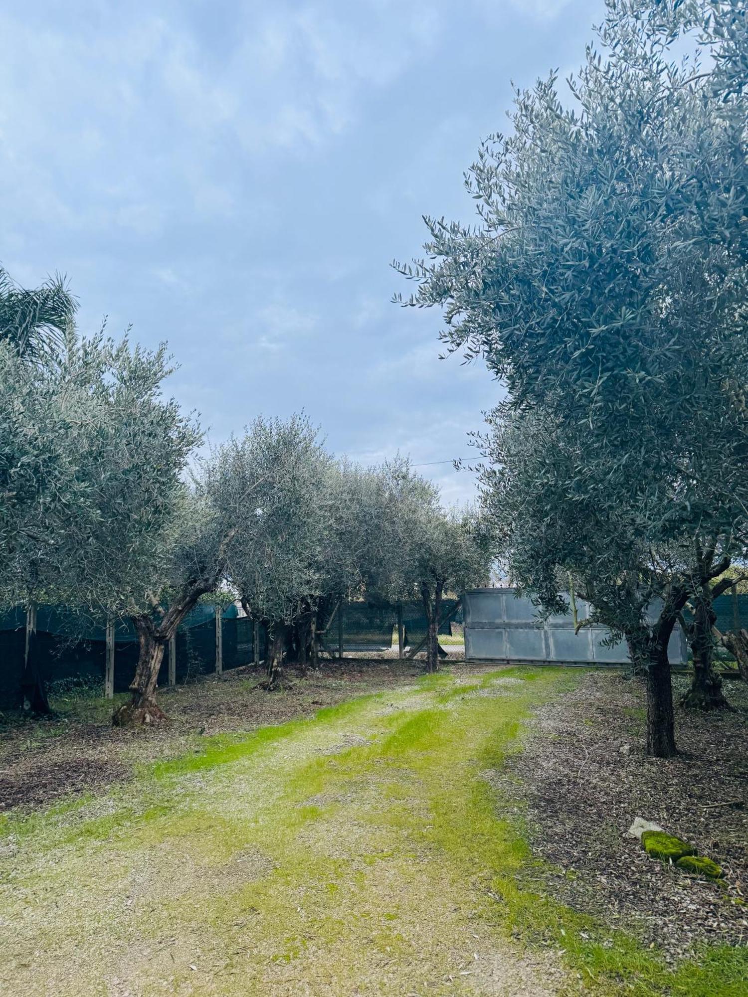 La Perla Di Dea Villa Lido Di Fondi Eksteriør billede