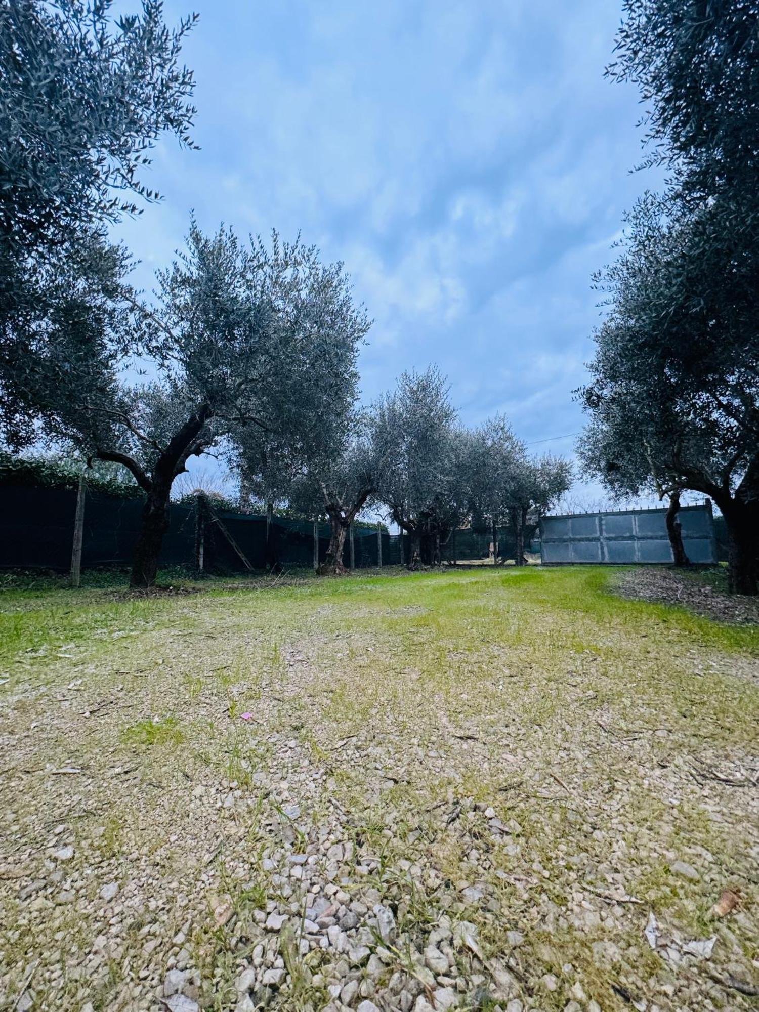 La Perla Di Dea Villa Lido Di Fondi Eksteriør billede